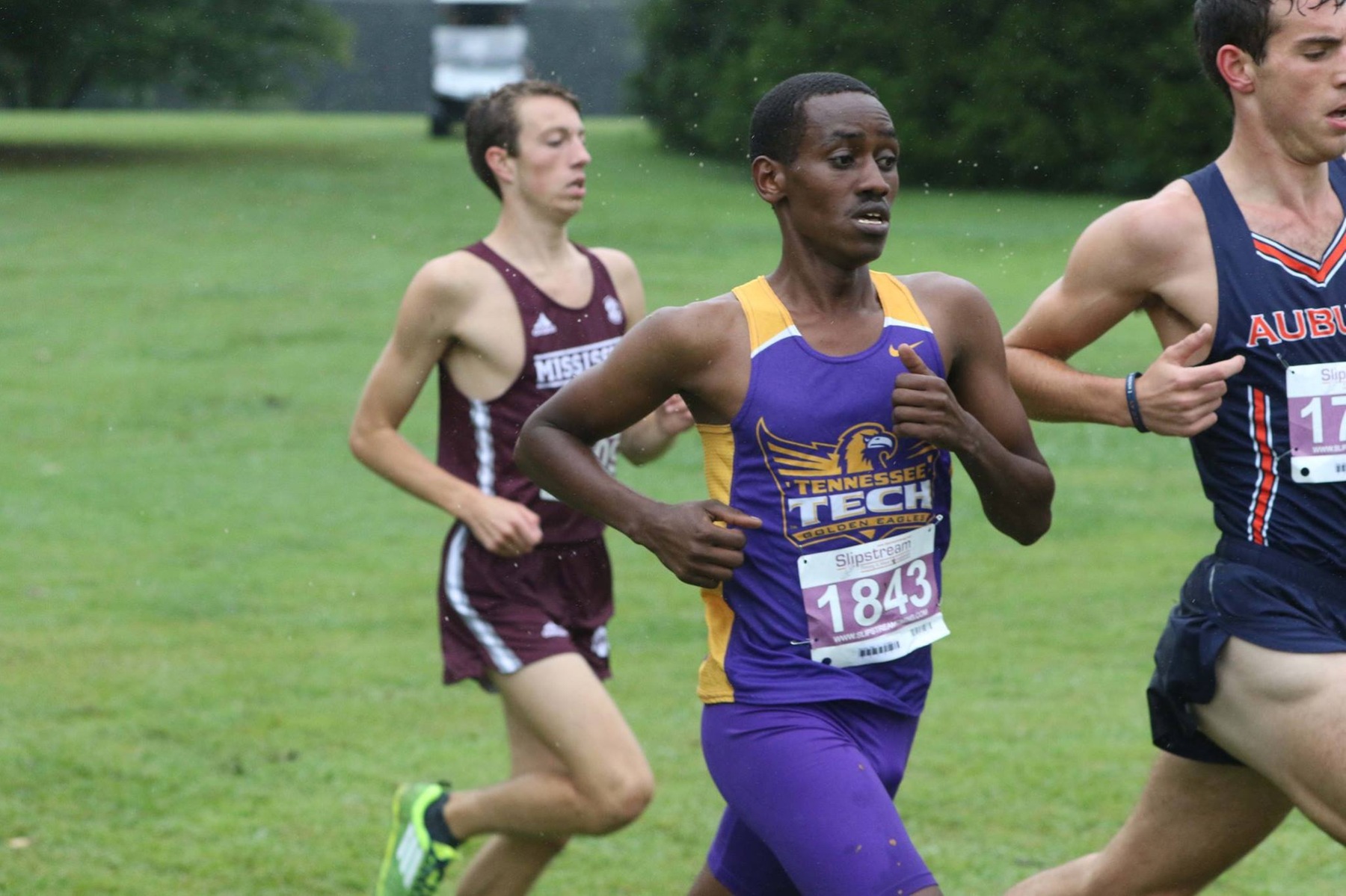 Men's cross country at 12th in latest USTFCCCA South Region rankings