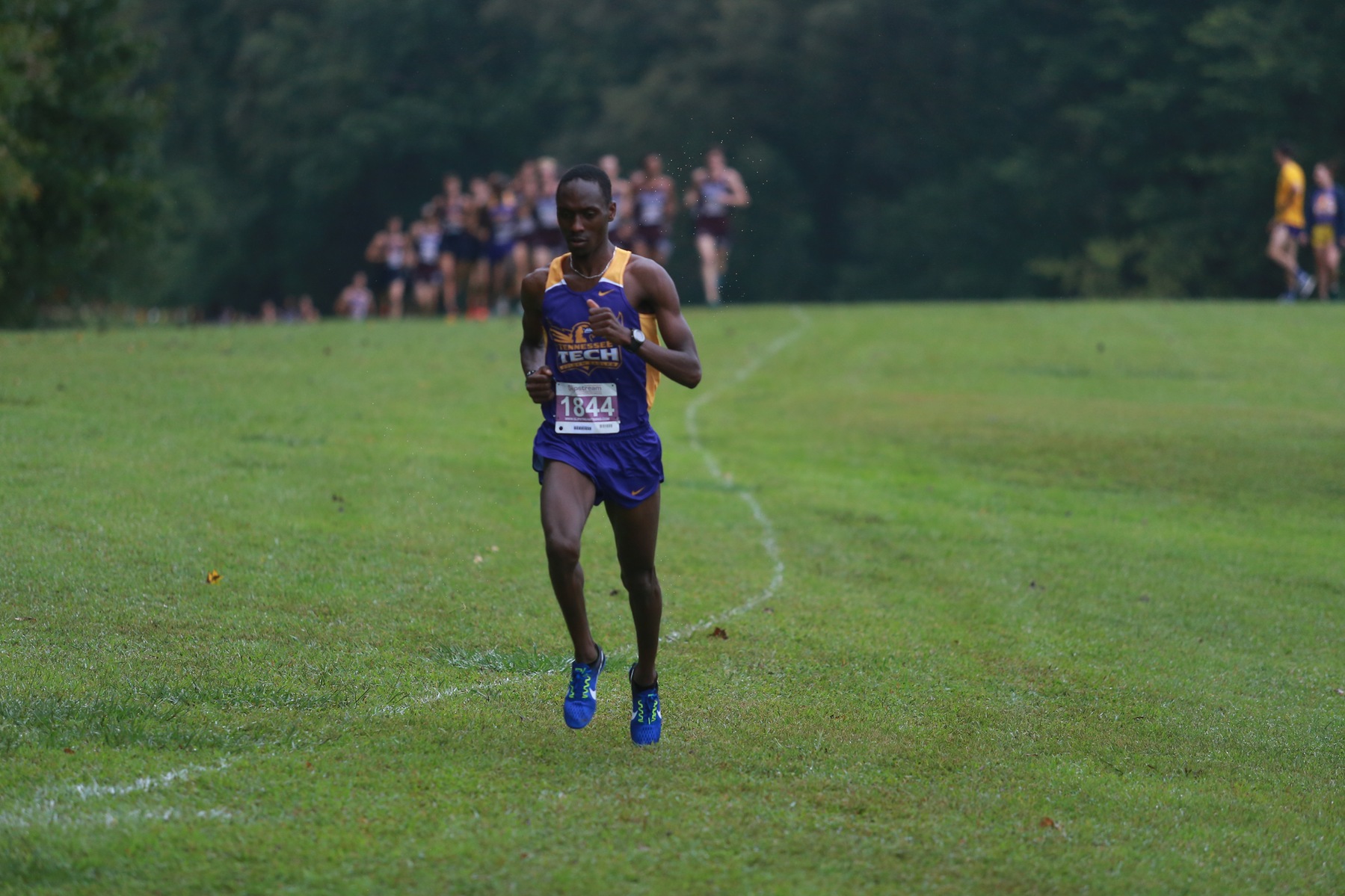 Men's cross country among strong field for Saturday's OVC Championship