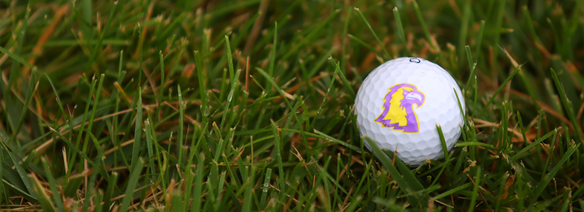 Final round of Lady Bison Bay Point Classic cancelled due to weather, Tech finishes sixth