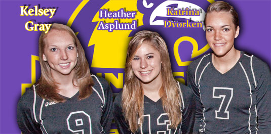 Defending champ volleyball team adds three signees to ’09 roster
