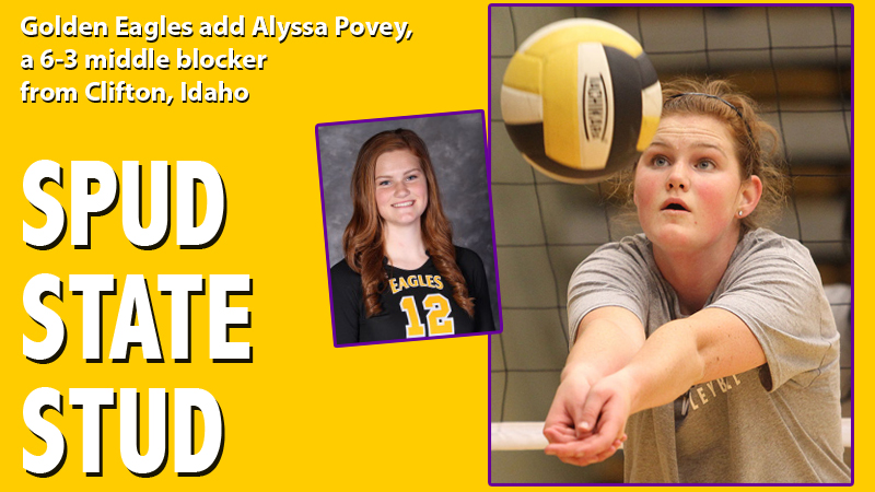 Zelenock adds height to volleyball squad with JUCO transfer Alyssa Povey