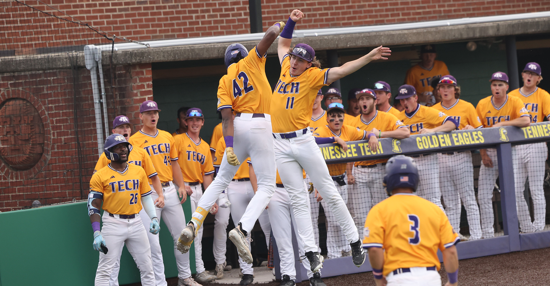 Wild walk-off lifts Golden Eagles over Panthers to even series