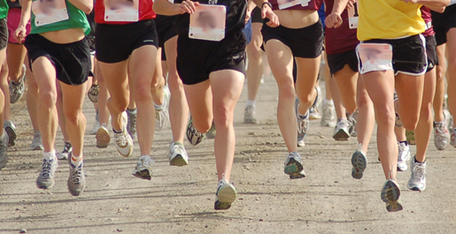 Familiar courses await Tech cross country runners in 2010