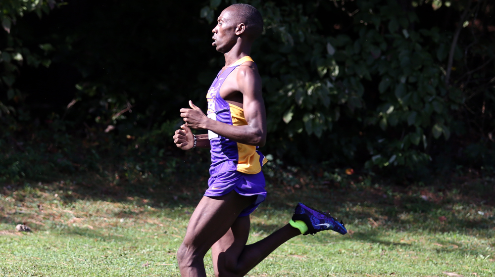 Golden Eagle men's cross country places 13th at Greater Louisville Classic