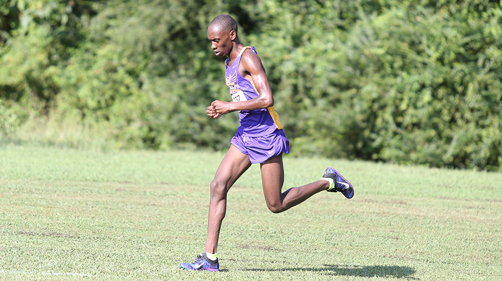 Boit anchors impressive showing from Tech men's cross country team at Commodore Classic