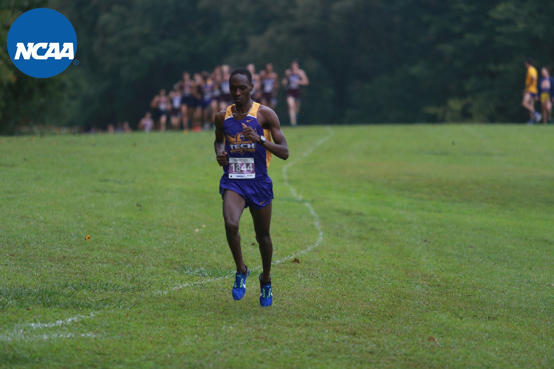 Men's cross country set to take on NCAA South Regional on Friday