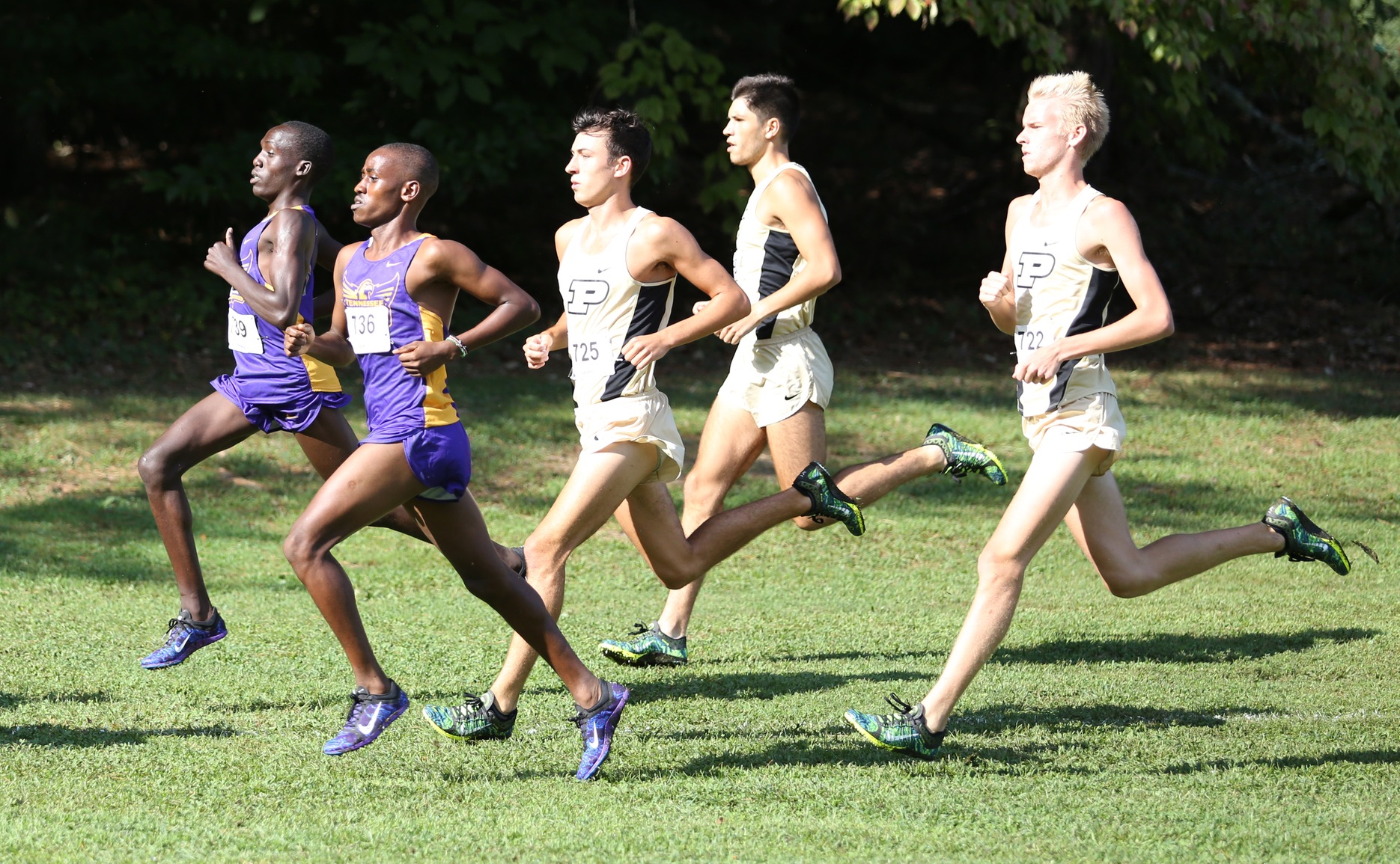 Tech cross country to open at home with Golden Eagle Invitational presented by Hometown IGA