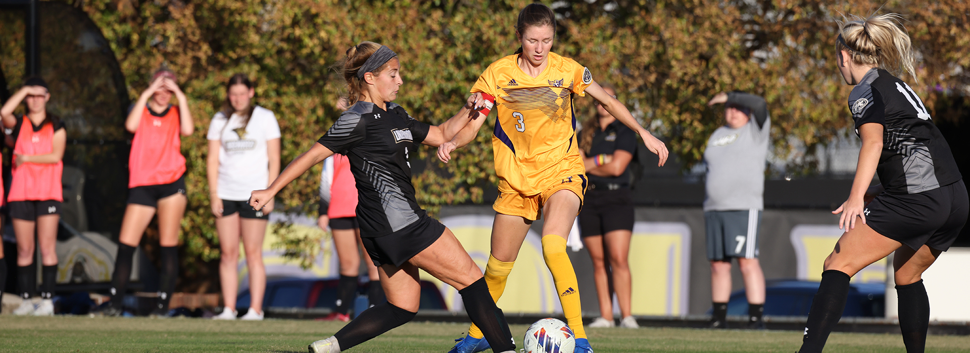 Golden Eagles advance to OVC Tournament championship match behind 5-0 win over Lindenwood
