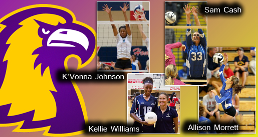 Zelenock, Golden Eagle volleyball team adds four for 2014