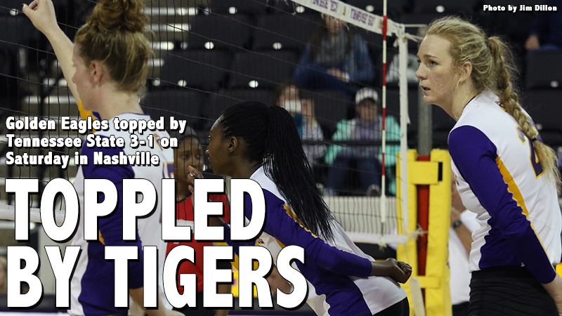 Tech topped by Tigers 3-1