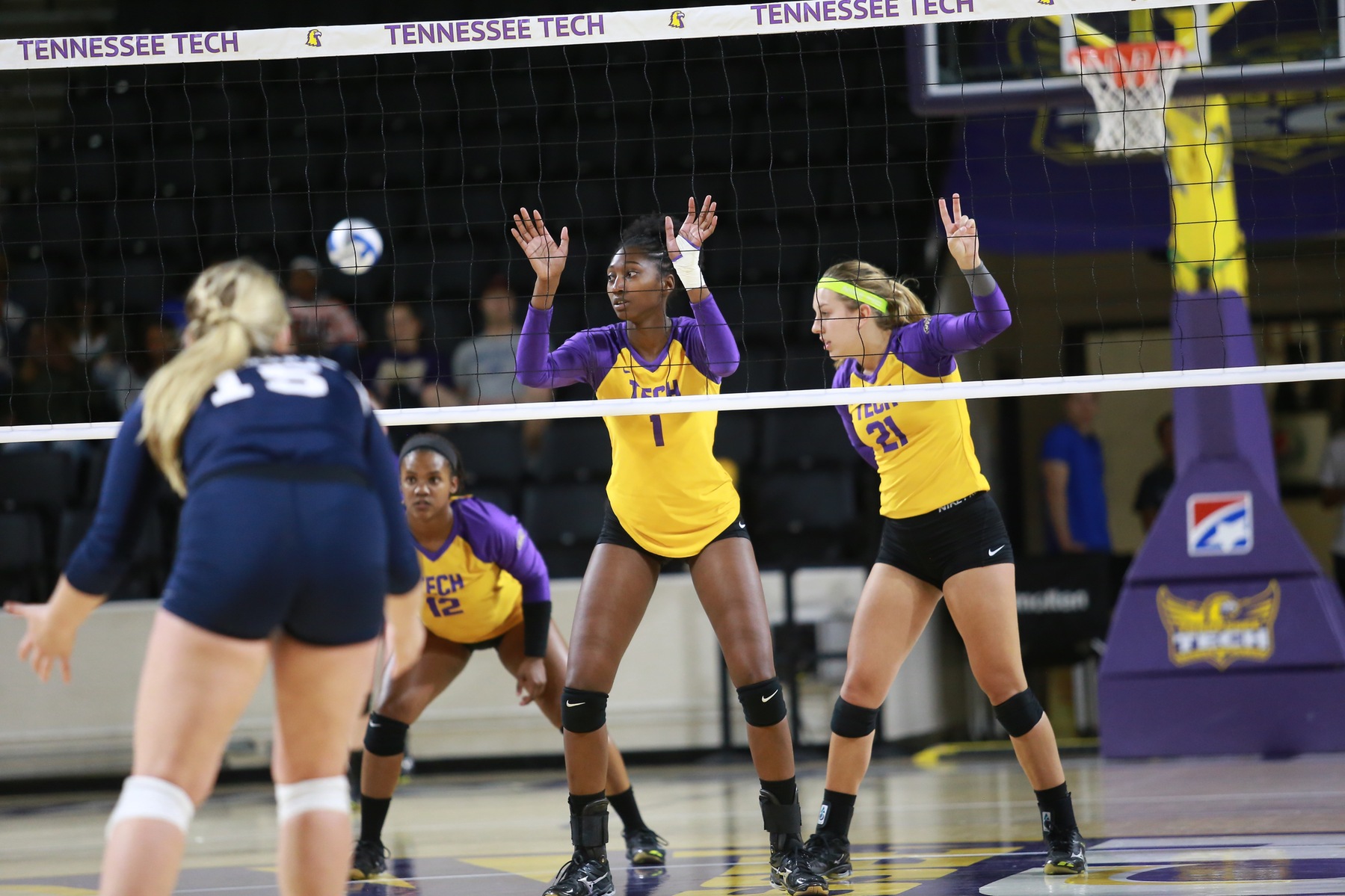 Tech suffers home sweep by Tennessee State