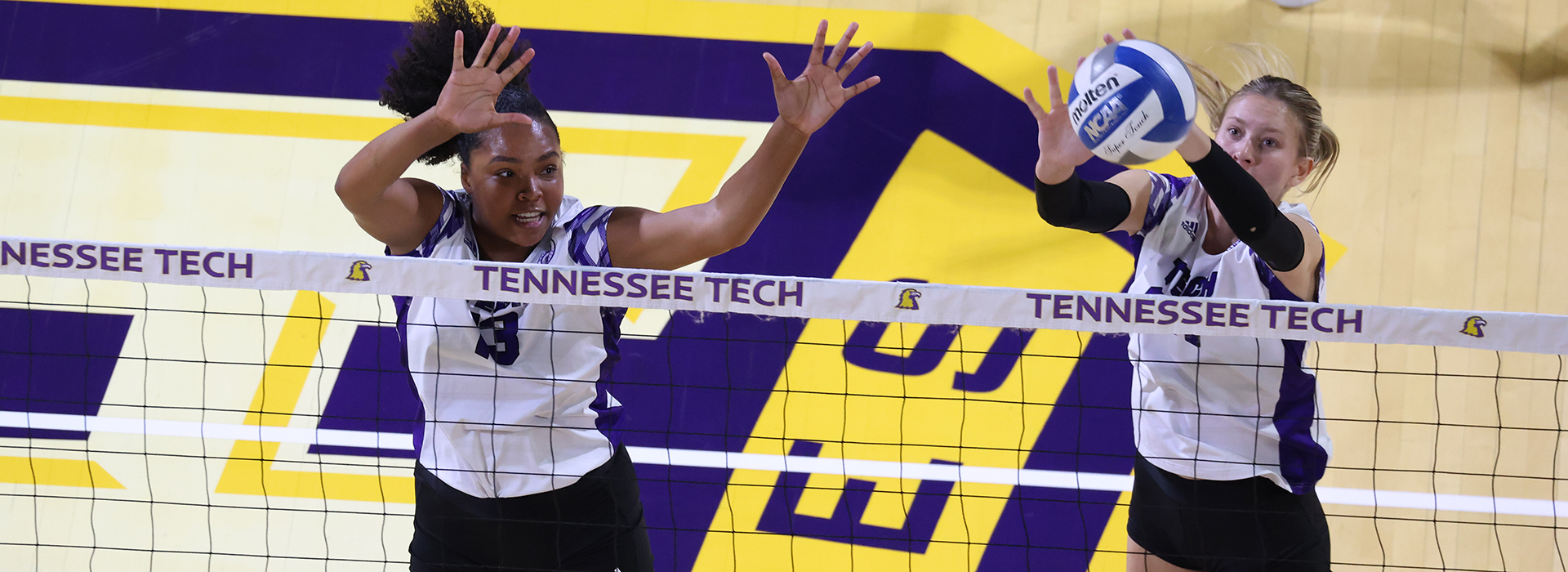 Golden Eagles fall to Tigers in Friday rematch, 3-1