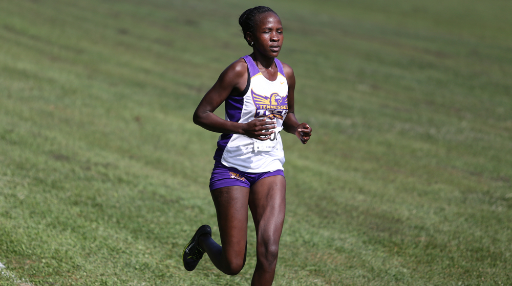 Tennessee Tech women's cross country to compete at OVC Championships on Saturday