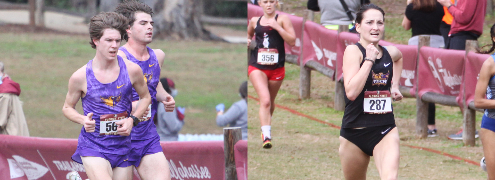 Golden Eagles head to Clarksville for OVC Cross Country Championships on Monday