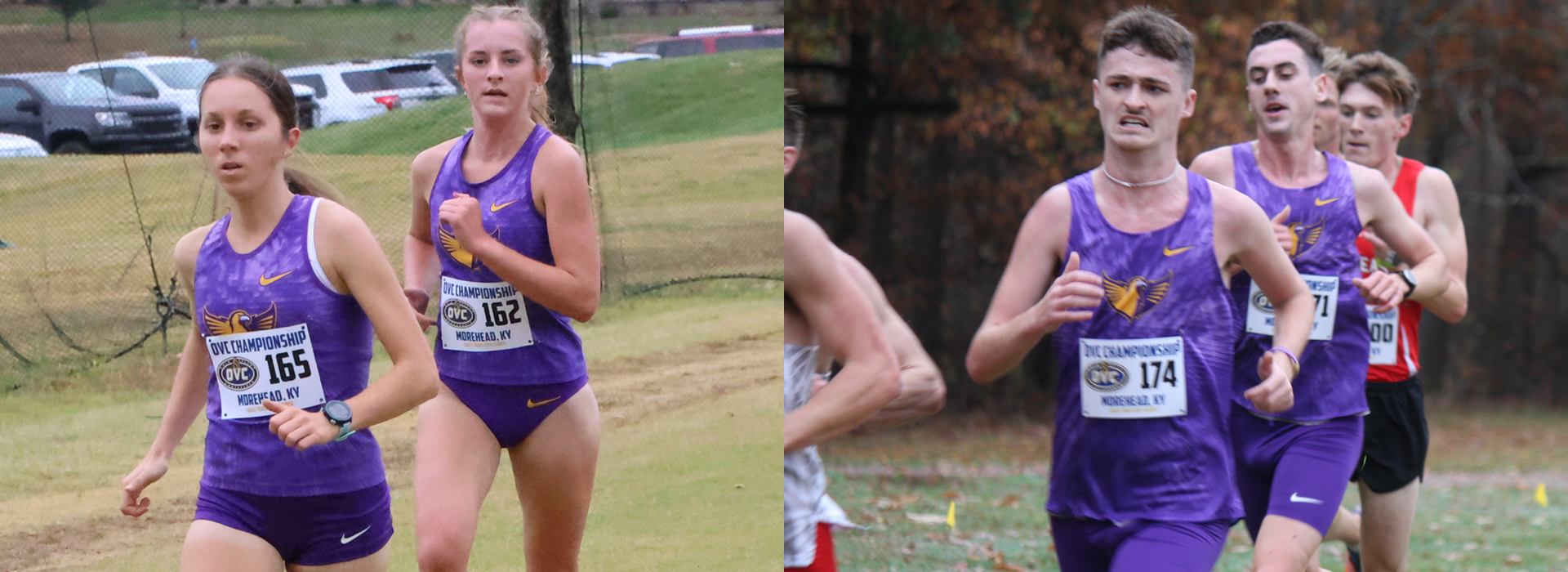 Purple and gold well represented at NCAA South Regional Championships